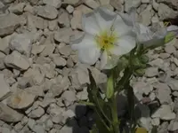 Bilda066.webp