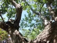 Bilda083.webp