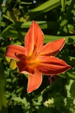 DSC_4912.webp