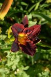 DSC_4913.jpg