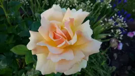 20150711_092850.webp