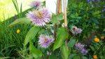 20150711_095237.jpg