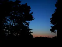 045.webp