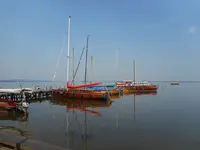 061.webp