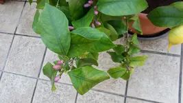 20150701_093003.webp