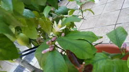 20150701_093018.webp