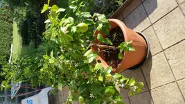 20150706_190619.webp