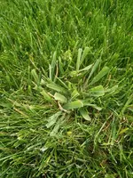 IMG_20150711_131823.webp IMG_20150711_131823.webp