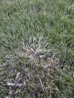 IMG_20150711_131814.webp IMG_20150711_131814.webp