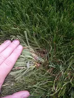 IMG_20150711_131838.webp IMG_20150711_131838.webp