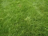 IMG_20150711_131851.webp IMG_20150711_131851.webp