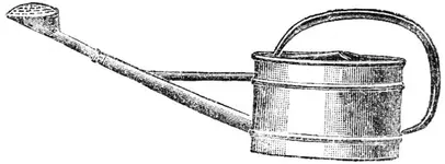 Schleif 3 3.webp