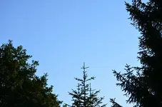 DSC_0393.webp