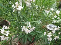 012.webp