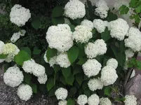014.webp