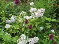 022.webp