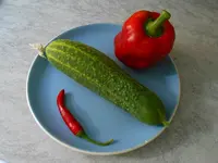 chilleroni.webp chilleroni.webp