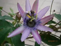 P7110672.webp