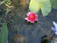 P7110676.webp