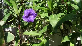 DSC01648.webp