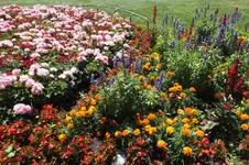 DSCF2045.webp