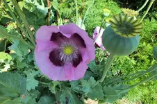 DSCF1832 (2).webp