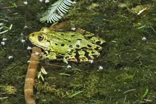 DSCF2090 (2).webp