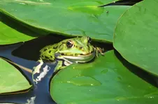 DSCF2102 (2).webp