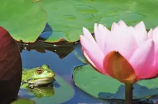 DSCF2107 (2).webp