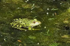 DSCF2091 (2).webp