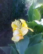 Foto0076.jpg