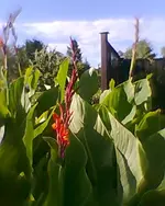 Foto0077.jpg
