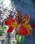 Foto0079.jpg