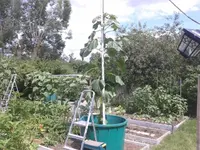 20150710_150559.webp