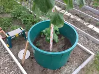 20150712_121204.webp