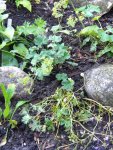 DSCN9448.jpg