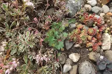 DSCF2152.webp