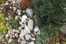 DSCF2156.webp