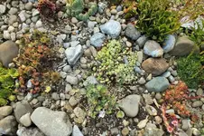DSCF2158 (2).webp