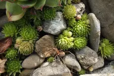 DSCF2163.webp