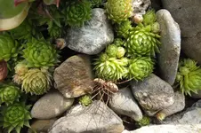 DSCF2164.webp