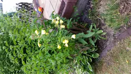 20150712_175326.webp