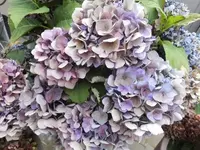 Bilda011.webp