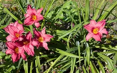 IMG_1889.webp