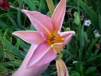 k-DSCI3549.webp