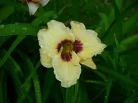 k-DSCI3565.webp