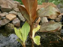 P7120683.webp
