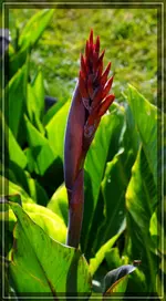 comp_DSC09607.webp