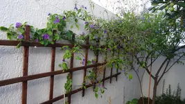 DSC03819.webp