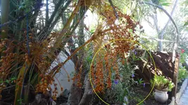 DSC03824.webp